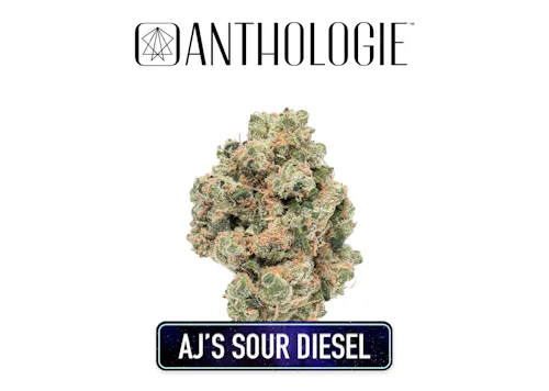 Anthologie | AJs Sour Diesel Flower | 3.5g-1