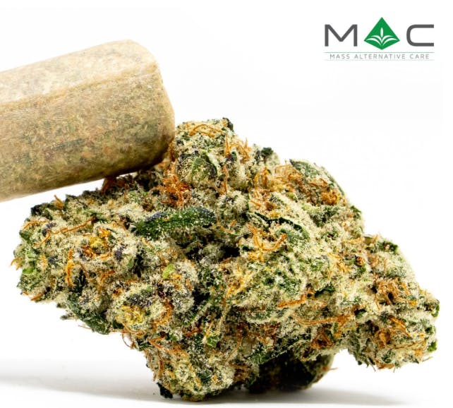 M.A.C. | Coughy Cake (S)