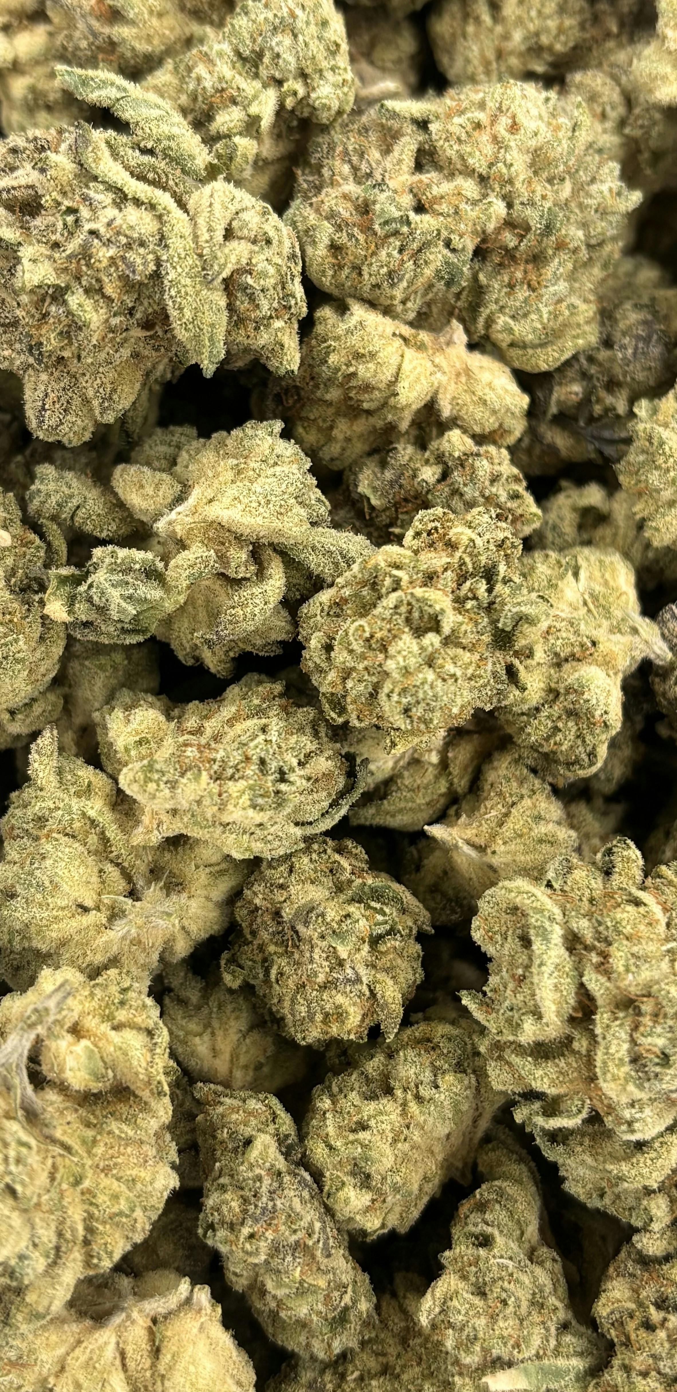 Pro Gro | Secret Formula | Deli Flower