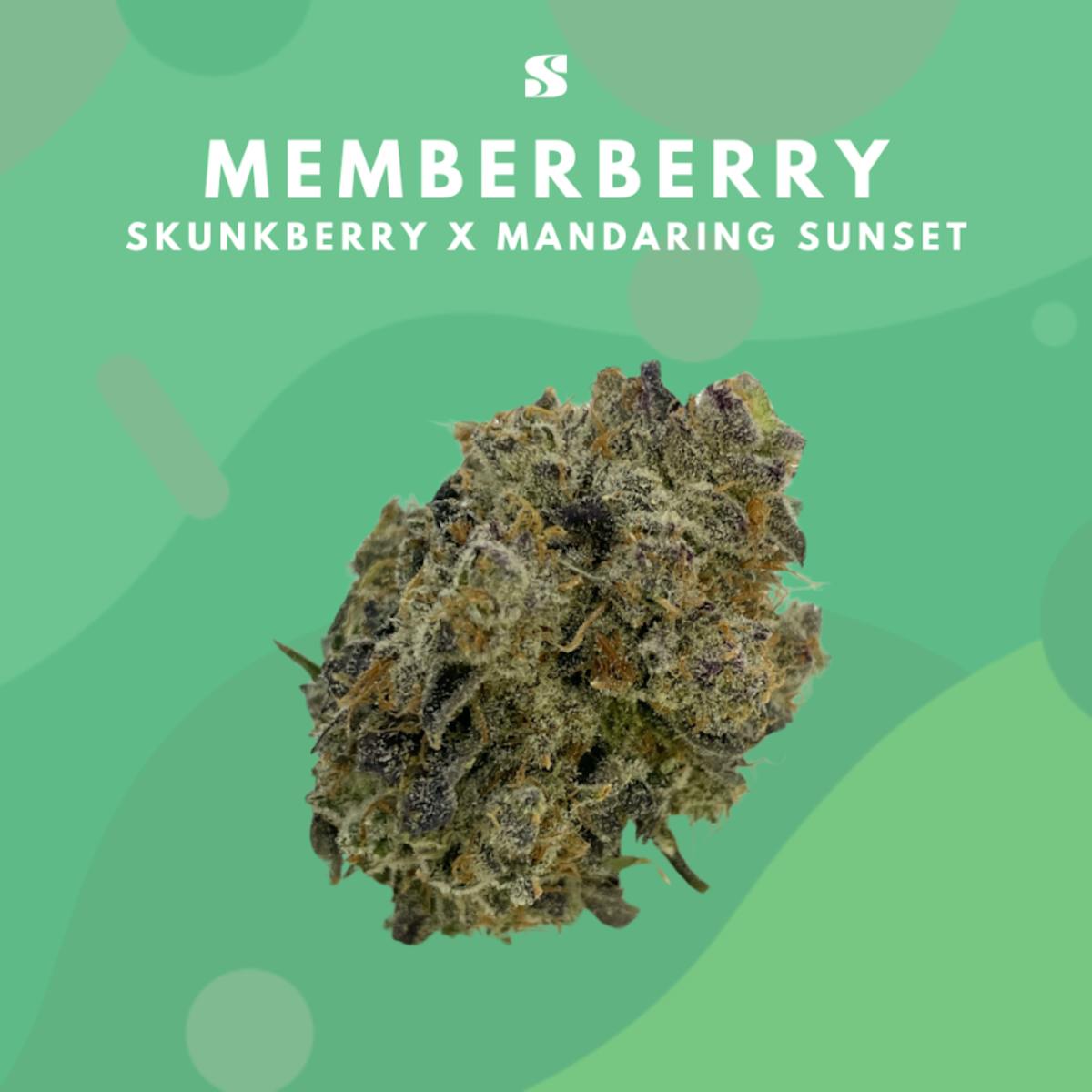 Photo of Memberberry