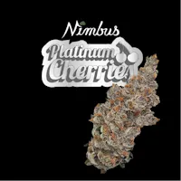 elf bar vape uk Everything You Need to Know About Nimbus Vapes in New Jersey