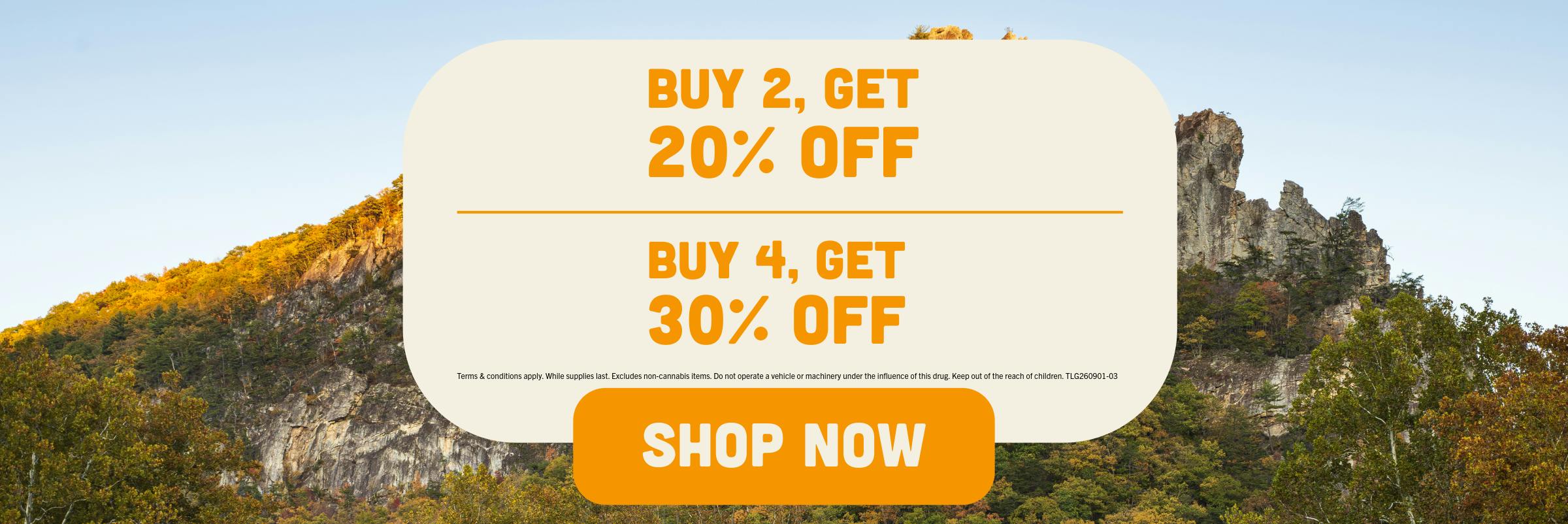 BUY 2 GET 20% OFF BUY 4 GET 30% OFF SALE
