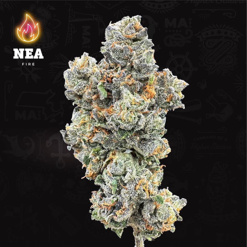 Product NEA Fire - Canal Street Runtz Flower (3.5g)