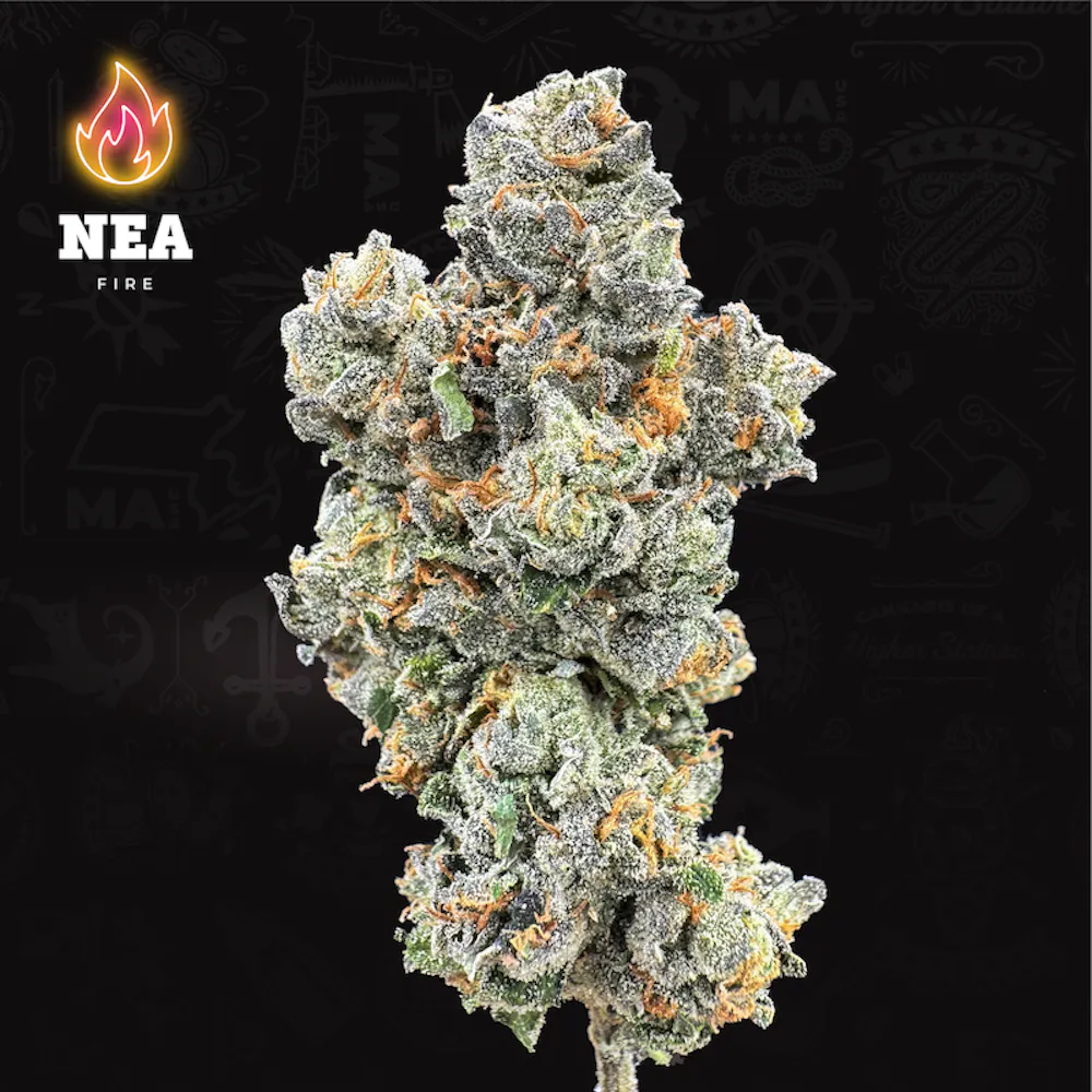 Product NEA Fire - Canal Street Runtz Flower (3.5g)