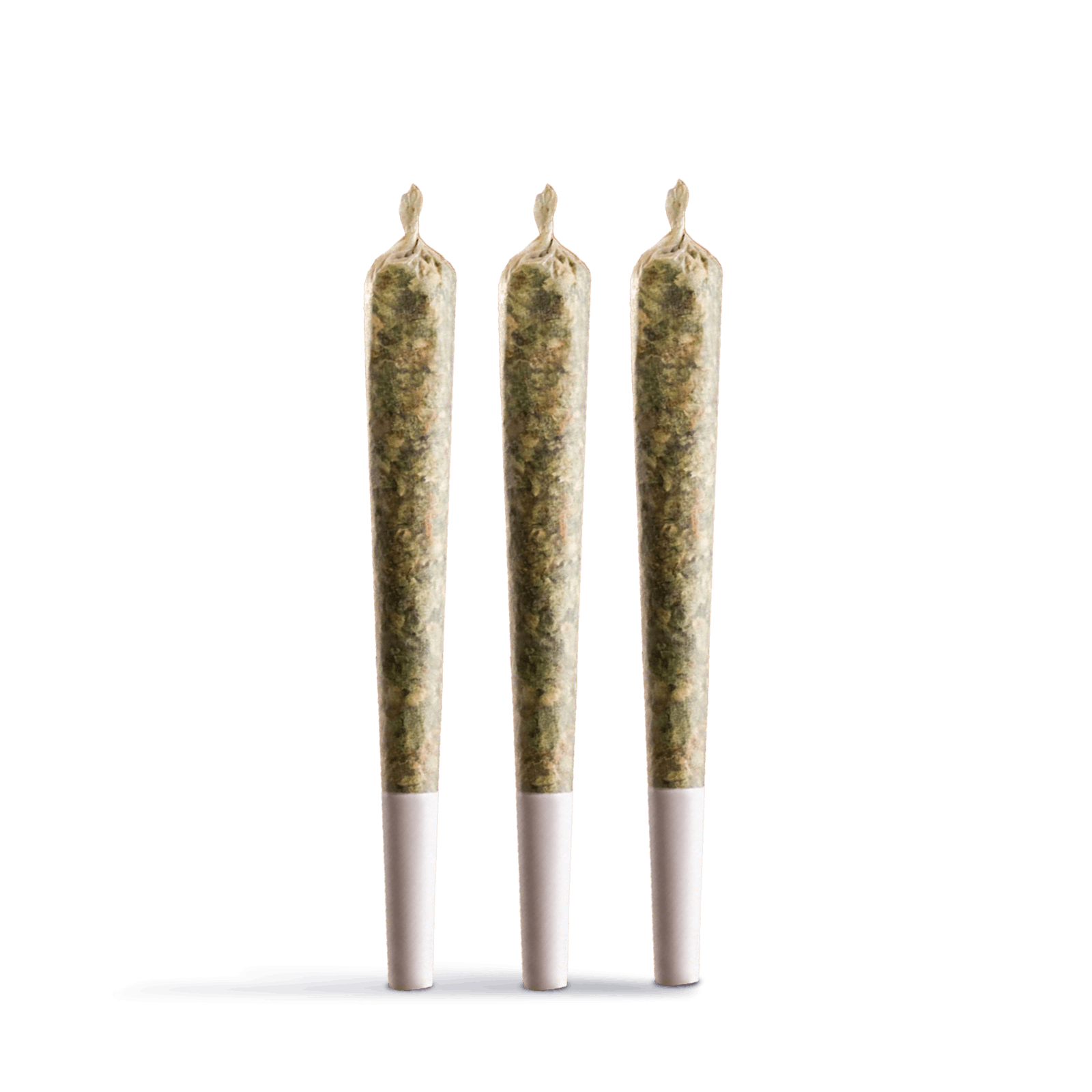 Frosted cream puffs pre-roll 3-pack | 1. 5g