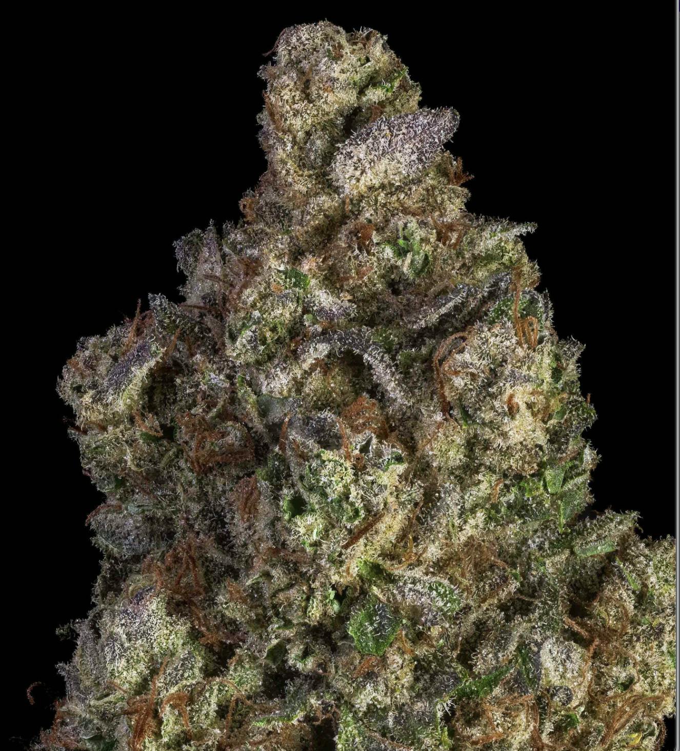 Ithaca Organics | Grapefruit Sour Flower Jar-1