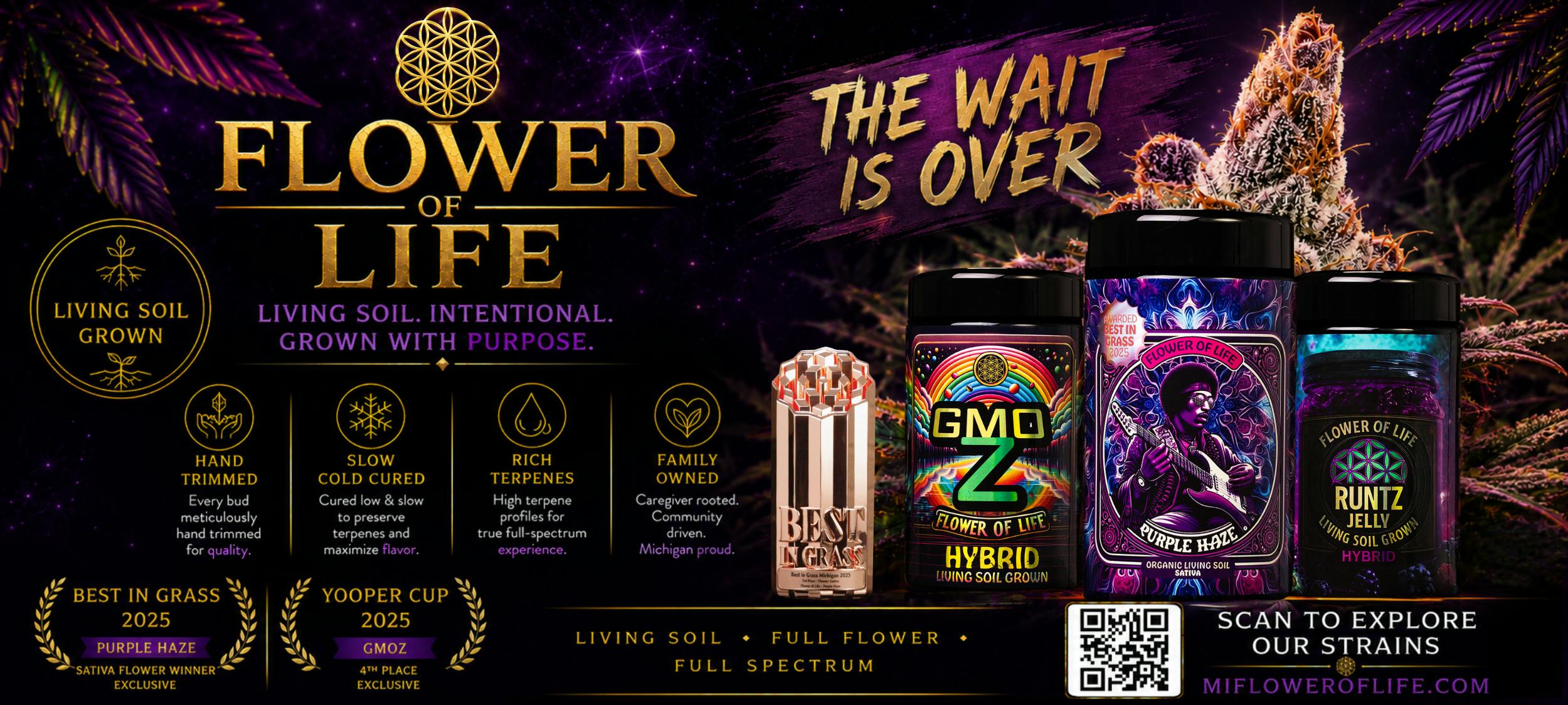 Flower of Life at The Fire Station