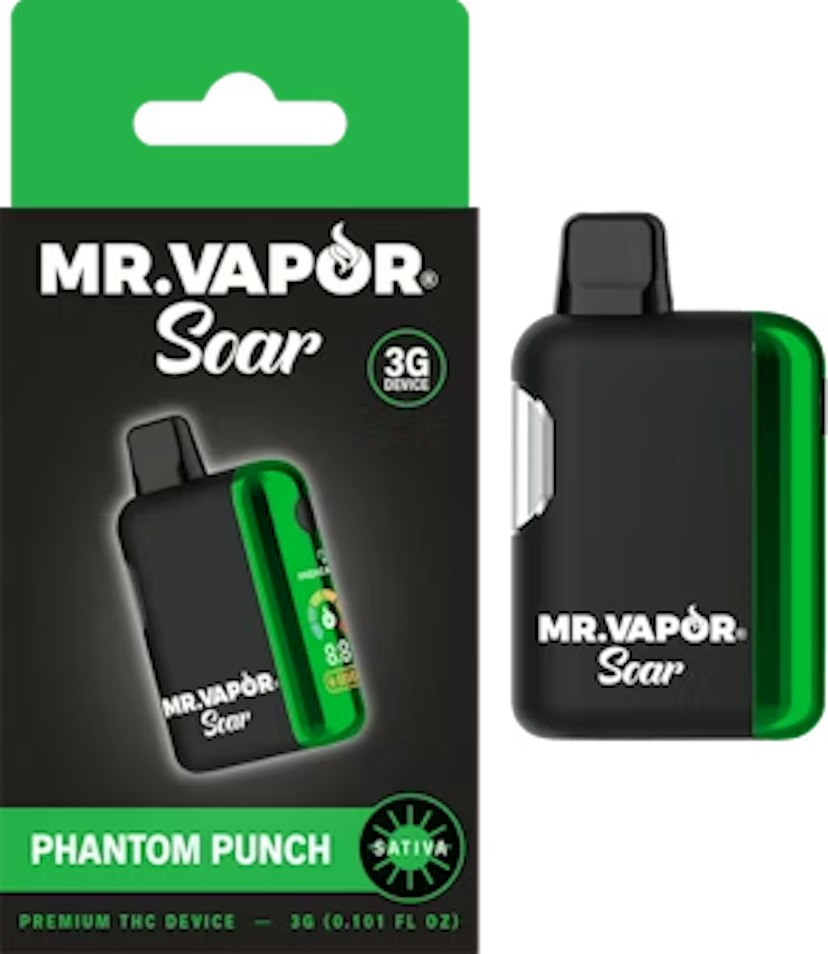 Mr. Vapor - Passion Pulse Disposable