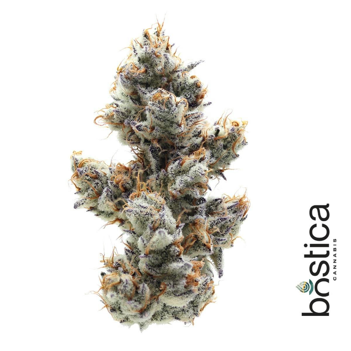 Product Dante's Inferno | Flower | 28g