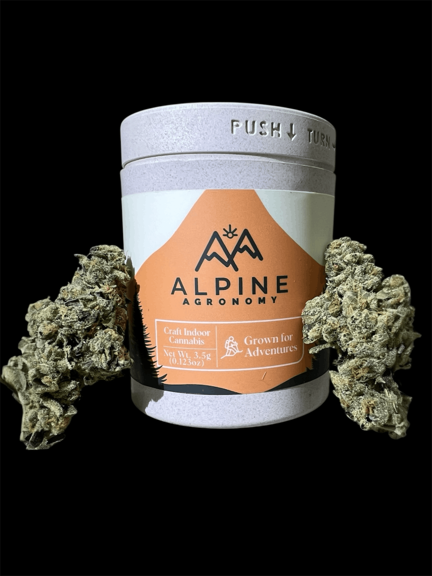 Alpine Agronomy | Gary Payton | 3.5g (Premium Cannabis)
