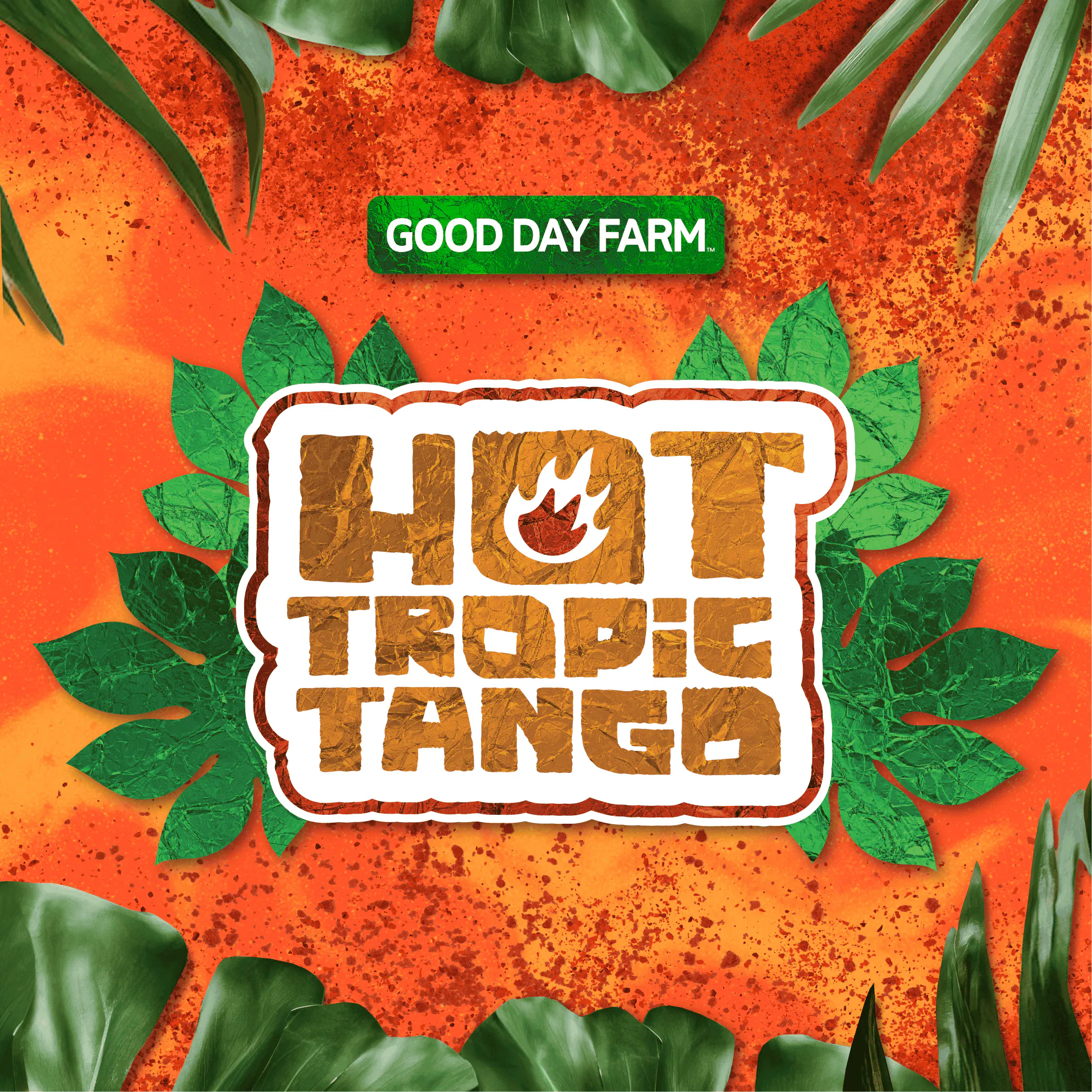 GDF: Gummies | Hot Tropic Tango | 100mg | 10pk | GDF - Little Rock