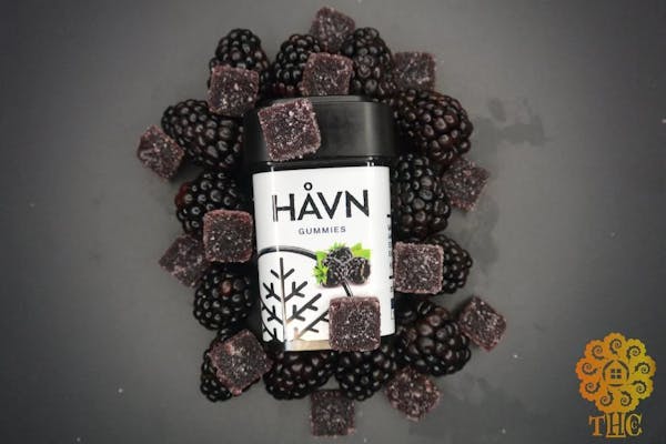 Blackberry 2:1 (THC:CBN) - 100mg Gummies - Havn Extracts