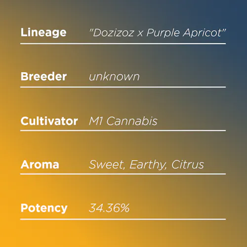 Deli Style | Dozicot – Hybrid-1