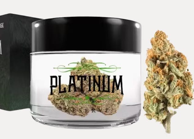 Platinum Reserve Flower Jar | 3.5g | Northern Lights #5 X Haze