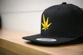 Apparel category image