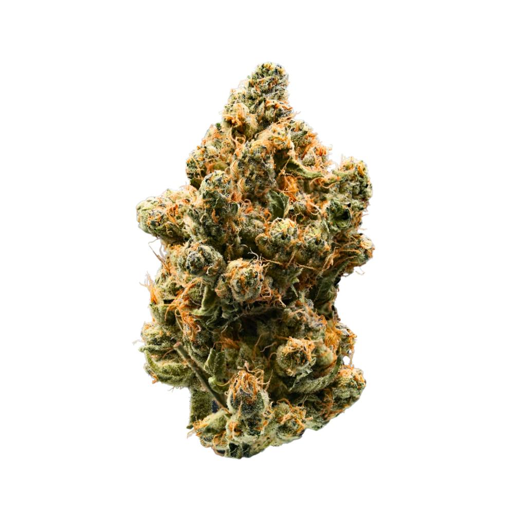 Photo of Gelato Punch