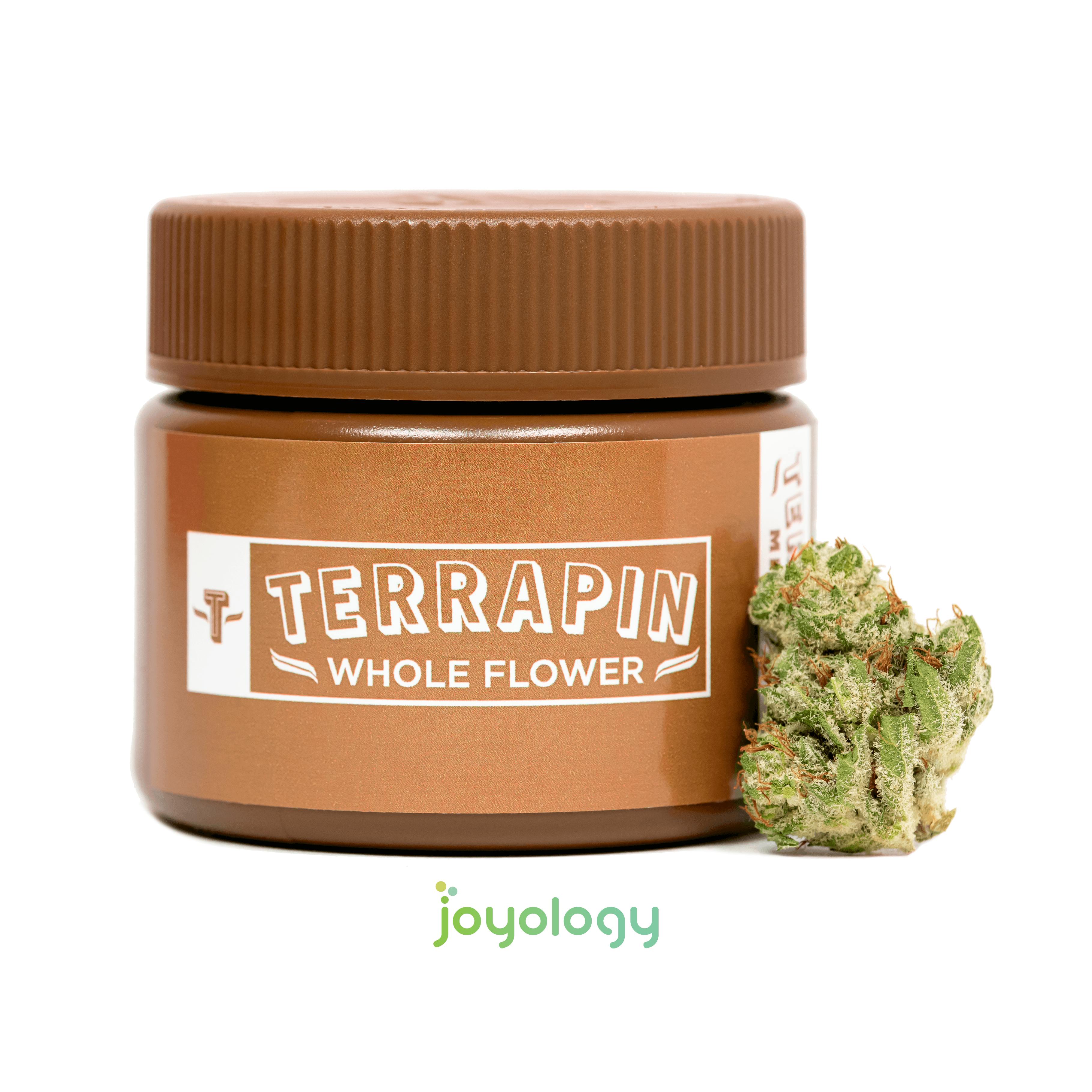 Joyology Grand Rapids Grand Rapids Mi Marijuana Dispensary Dutchie