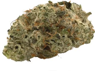 Sherbanger | Redbud Roots