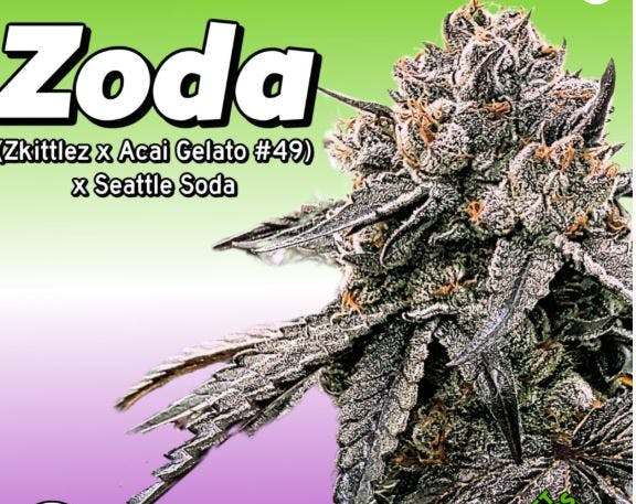 Product Zoda Buds