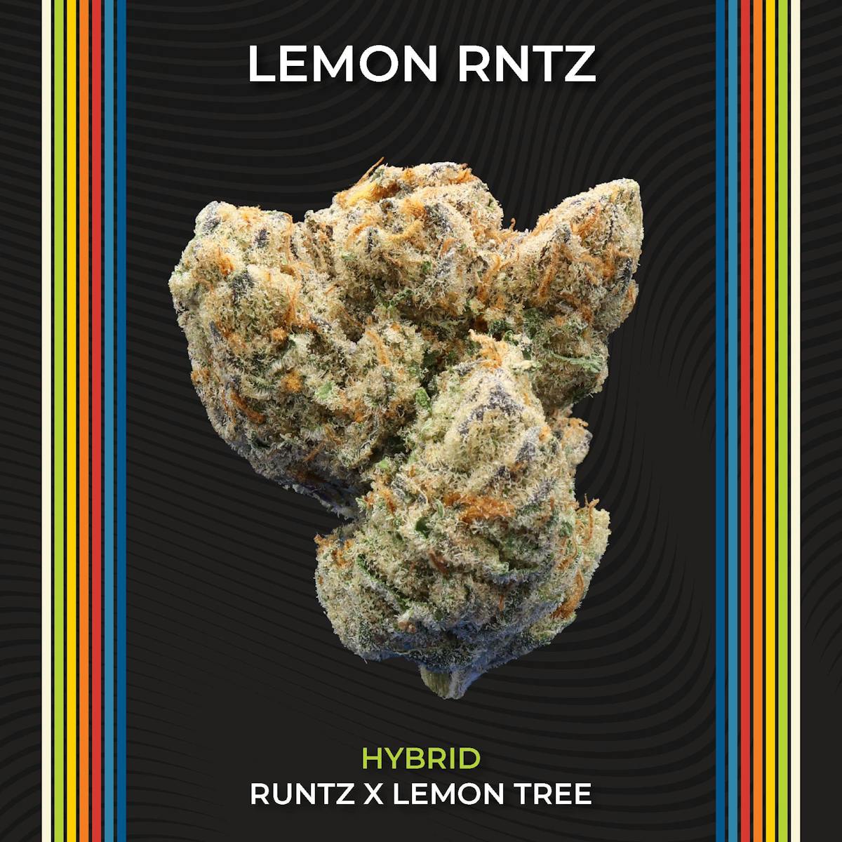 Photo of Lemon Rntz
