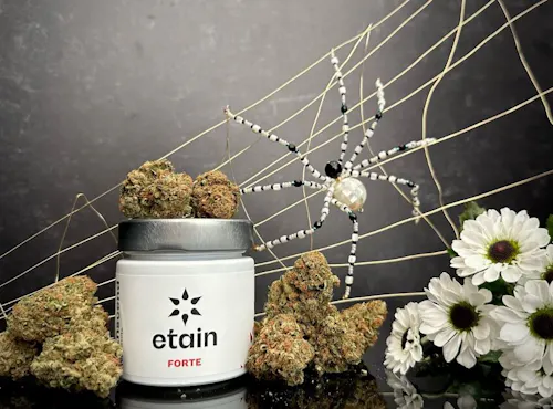 Citrus Circus 3.5g-active