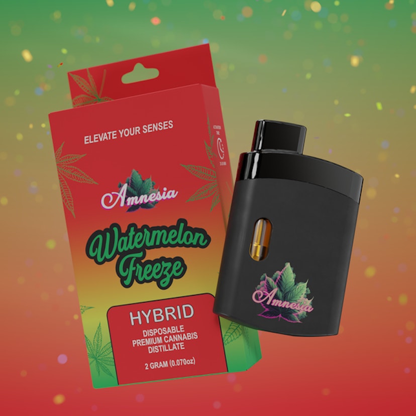 Amnesia Disposable | Watermelon Freeze