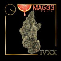 Product Grapefruit Magoo