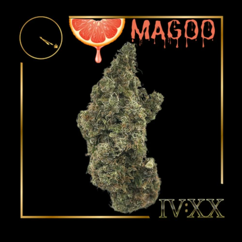 Product Grapefruit Magoo