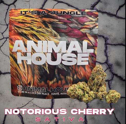 Animal House | Notorious Cherry | 3.5g