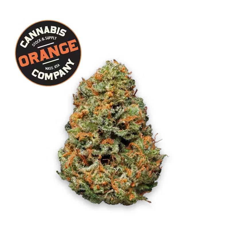 Papaya