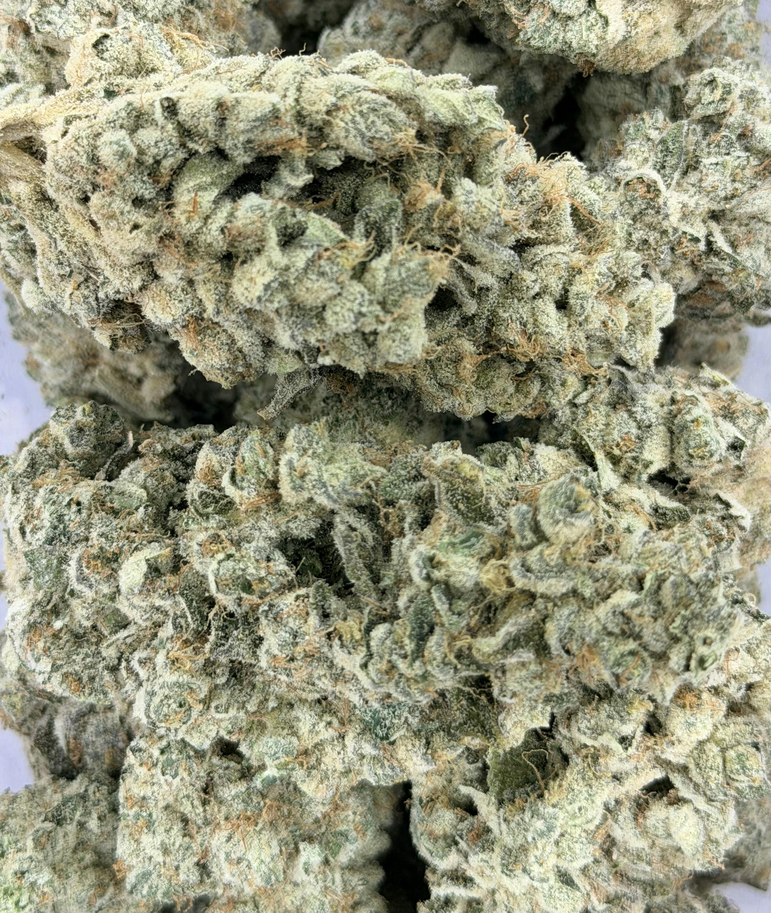 Sticky Ricky OG | Deli Flower (Gold)