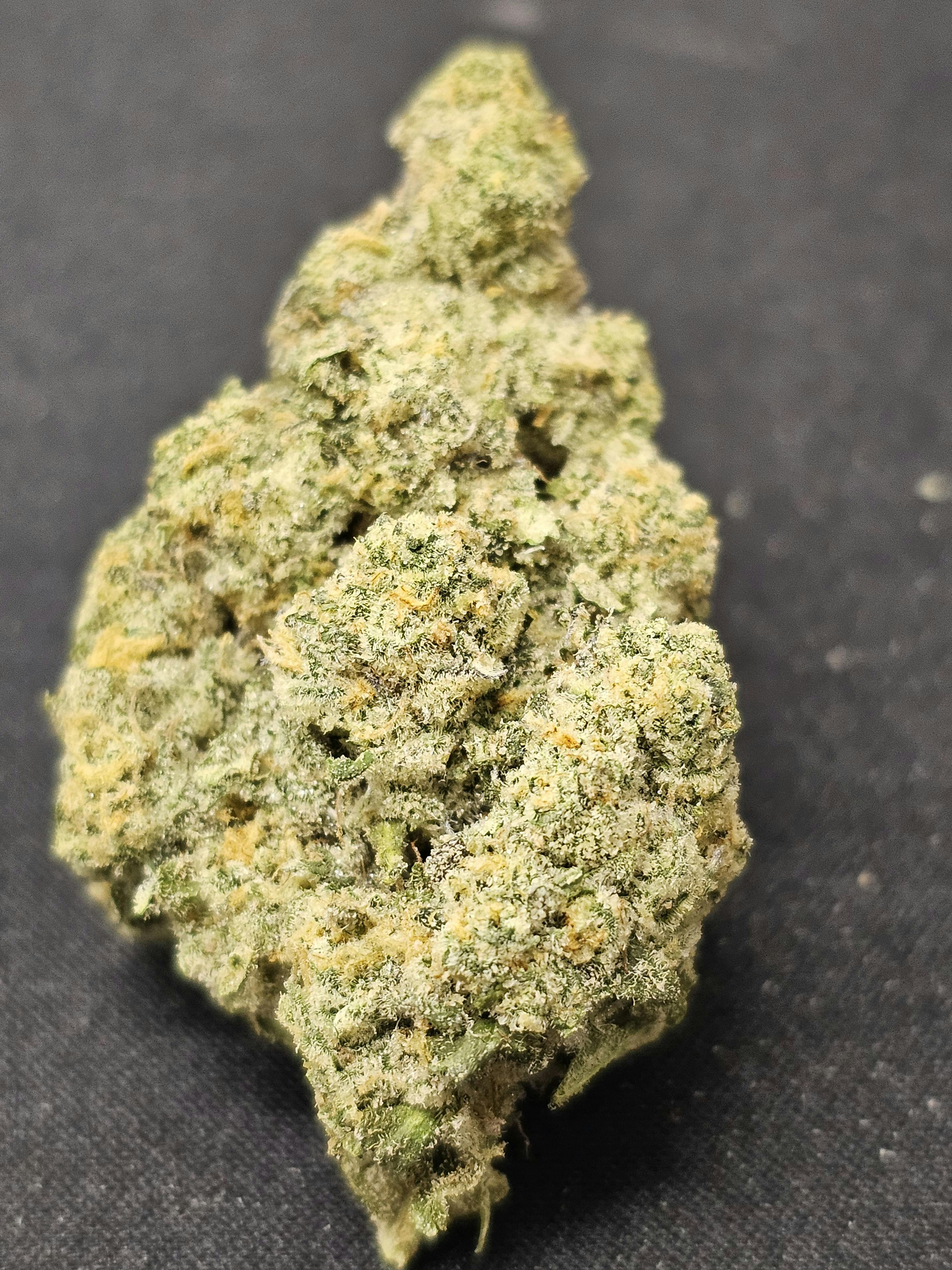 Product: Frosted Truffle Pie | Dr. JC's Exotics