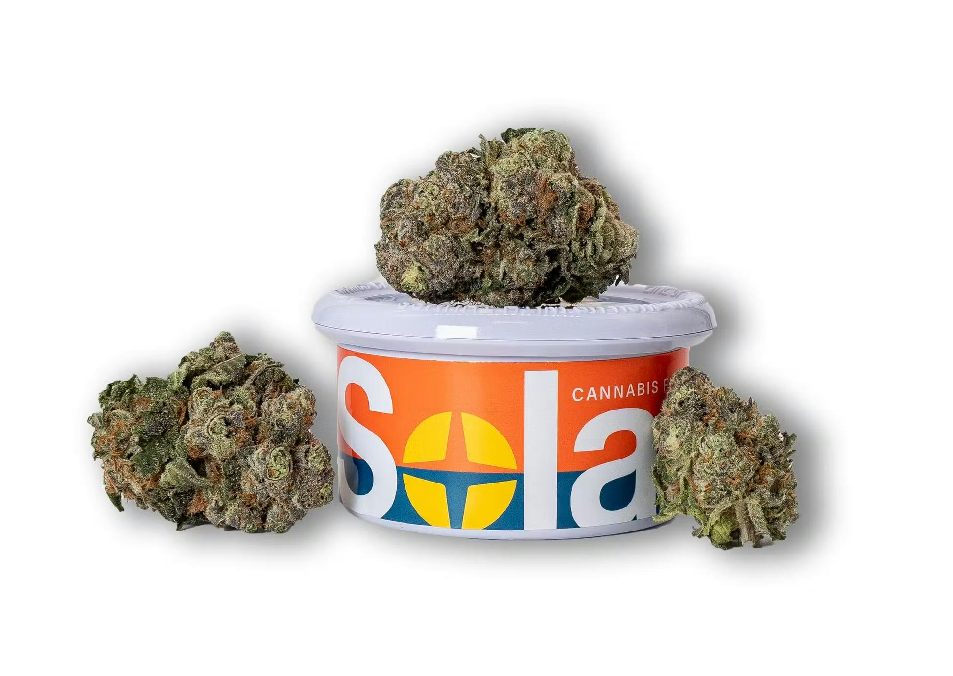 Apples & Bananas S1 Flower 3.5g • Green Meadows