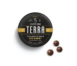 Photo of Terra Milk Chocolate Sea Salt Caramel Bites [20pk]