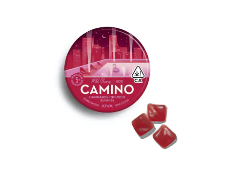 Camino | Wild Cherry Gummies | 20pk | 100mg-active