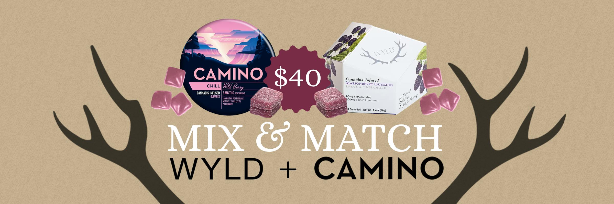 Mix and Match Wyld and Camino gummy editbles at Cambridge Porter Square Boston