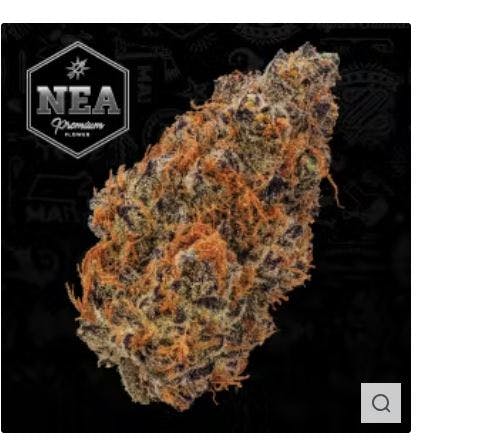 Product Garlicane Buds