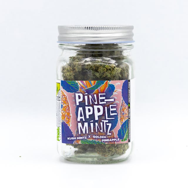 Kush Mintz x Golden Pineapple - (Flavors: Citrus, Creamy & Sour), (Effects: Giggly, Relaxing & Creative), (Aromas: Earthy, Pineapple & Citrus)
