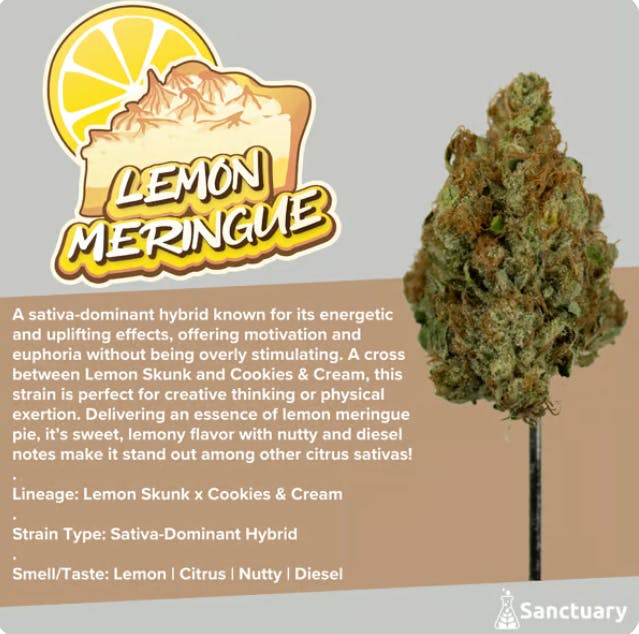 【Sativa】 THXE Lemon Meringue 1ml 07 Lemon Meringue Strain - Hybrid Cannabis Review, 22.77% THC