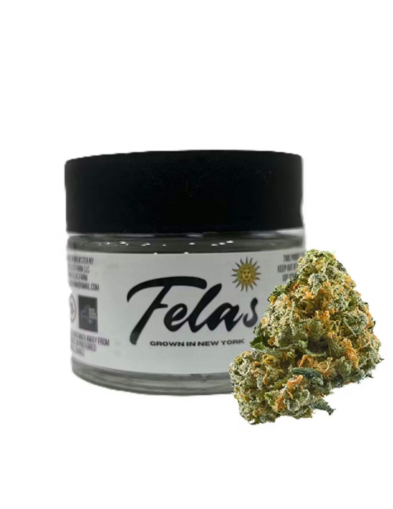Fela's Fela's | Flower Jar 3.5 | C.R.E.A.M.