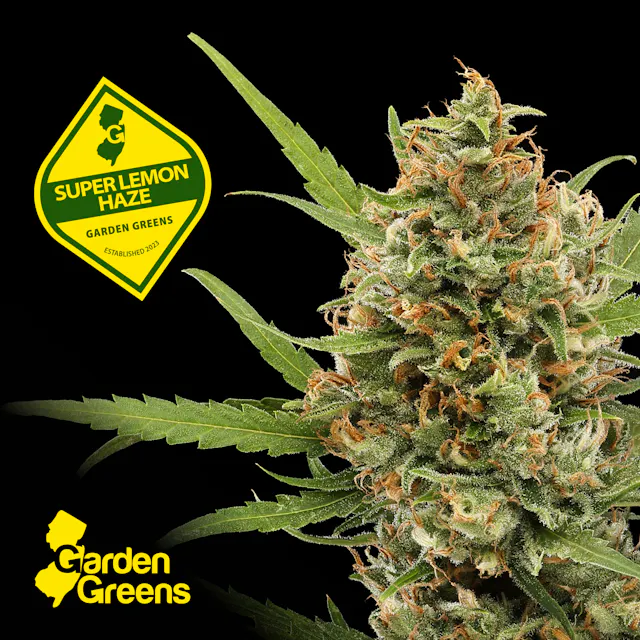 Garden Greens Mixed Nugs Super Lemon Haze 14g (sativa, flower)