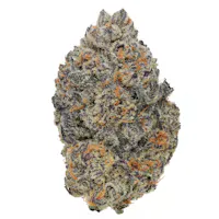 SkyRose - Tangerine Punch