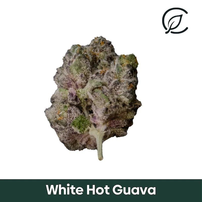 Grassroots White Hot Guava 3.5g Flower