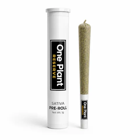 Blackwater Pre Roll