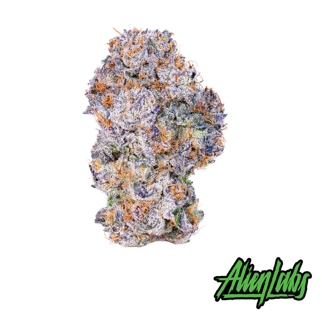 Krypto Chronic