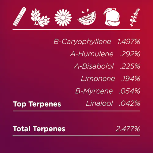 Deli Style |  Tangerine Punch Pre-Ground | Sungrown – Sativa – Hybrid-2