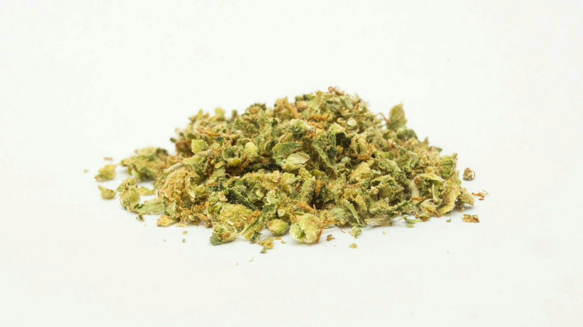 image of Atomic Collider 33 | 3.5g Preground Flower