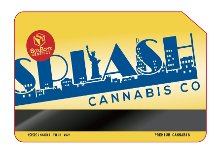 Zeez | Flower | 1g by Splash Cannabis | Buy Online | Treehouse