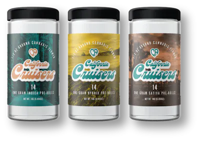 CALIFORNIA LOVE — Cruisers