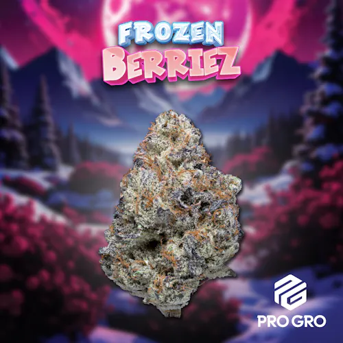 Frozen Berries Deli-active